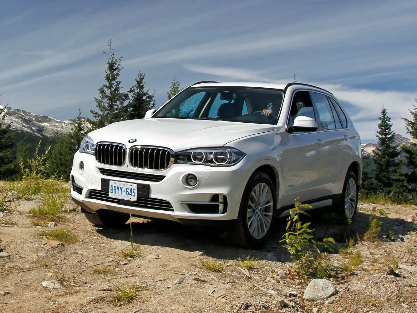 BMW X5 III (F15)