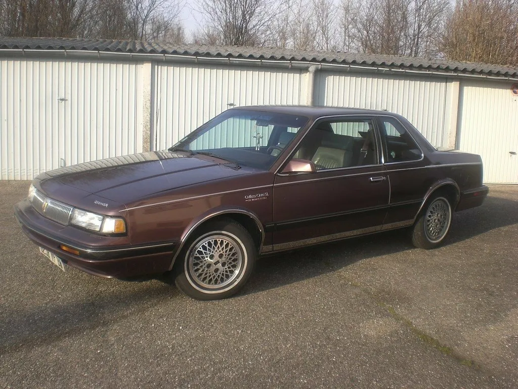  (1981-1996)