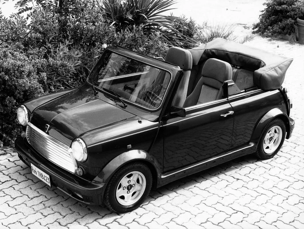 Rover Mini