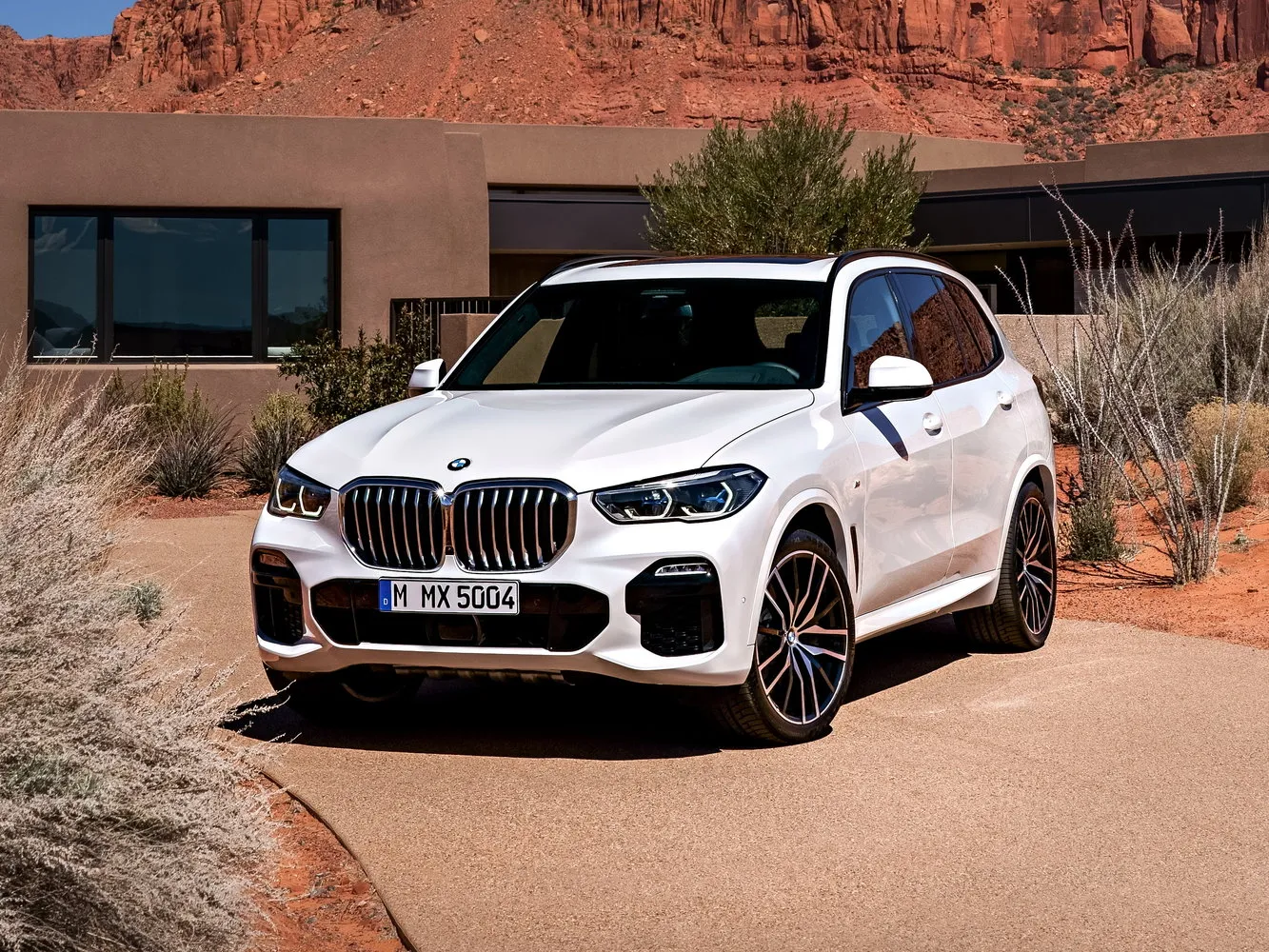BMW X5 IV (G05/G18)