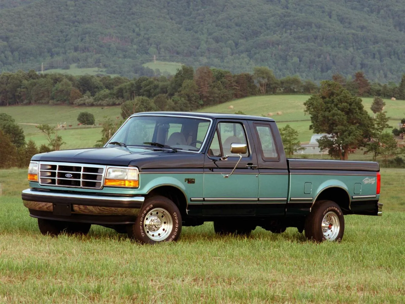 Ford F-150 IX