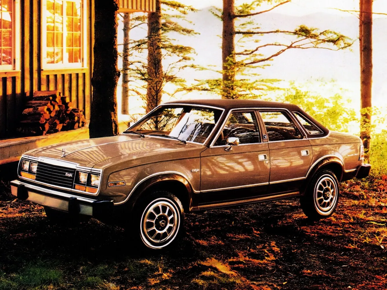  (1979-1987)