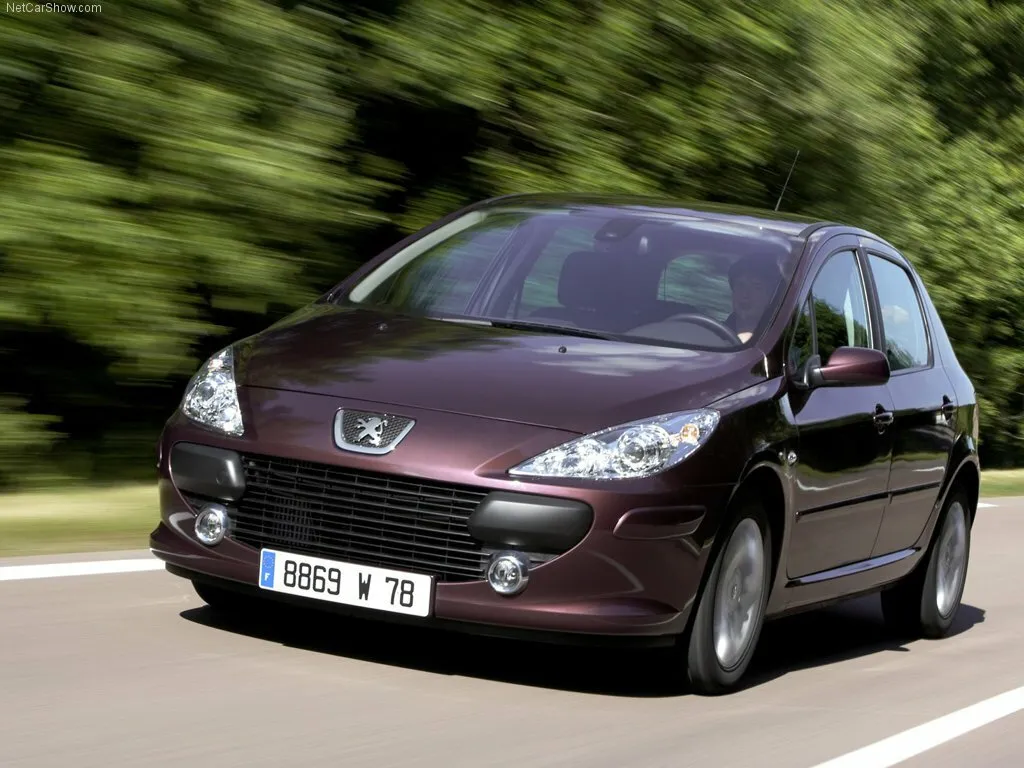 Peugeot 307 2.0 AT (140 л.с.)